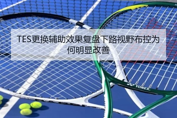 TES更换辅助效果复盘下路视野布控为何明显改善